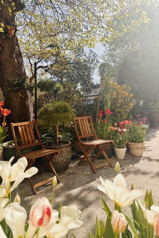 Zahrada ubytování powiew - b&b pensjonat noclegi Świnoujście - Unterkunft Swinemünde - guesthouse tennis garden breakfast at baltic sea