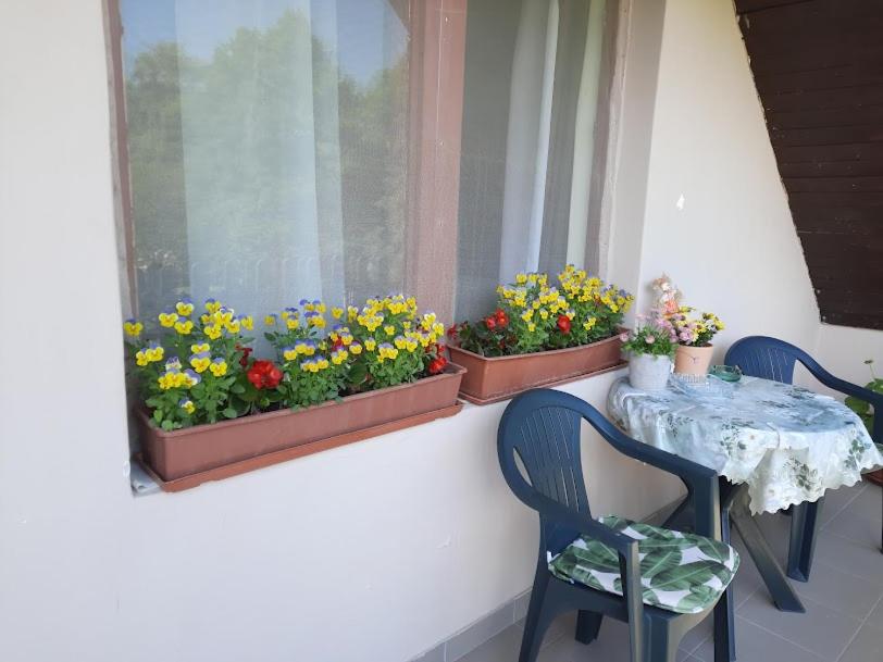 Balkón nebo terasa v ubytování Tahi Apartman