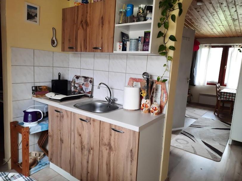 Kuchyň nebo kuchyňský kout v ubytování Tahi Apartman