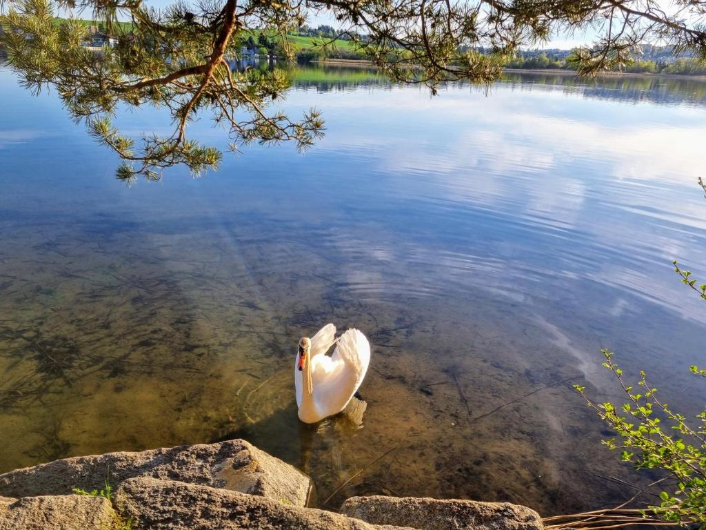 APARTMÁNY I&V - Adults only - Resim 39