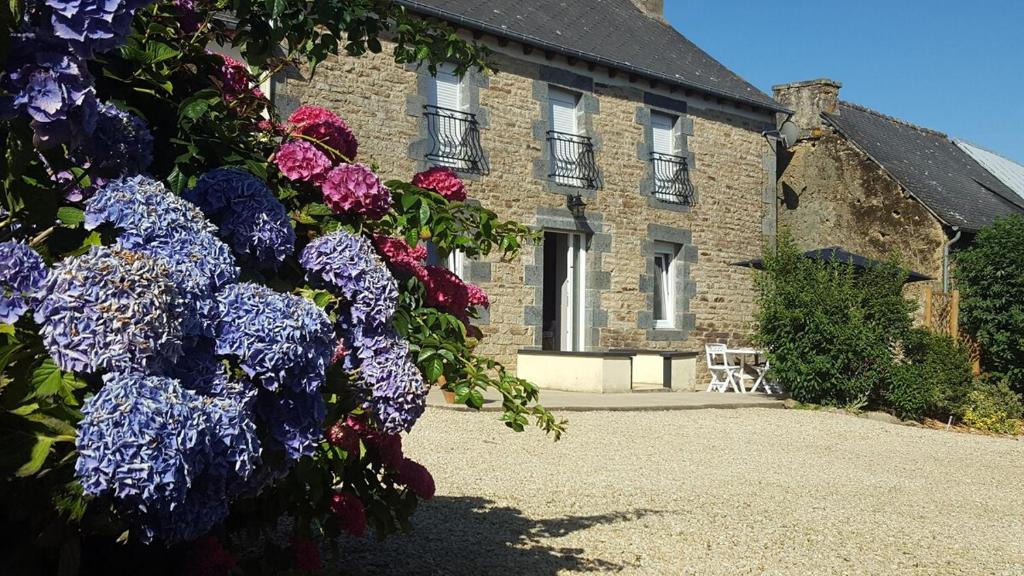 un bouquet de fleurs violettes devant un bâtiment dans l'établissement La Ferme de Jean, à Saint-Vran