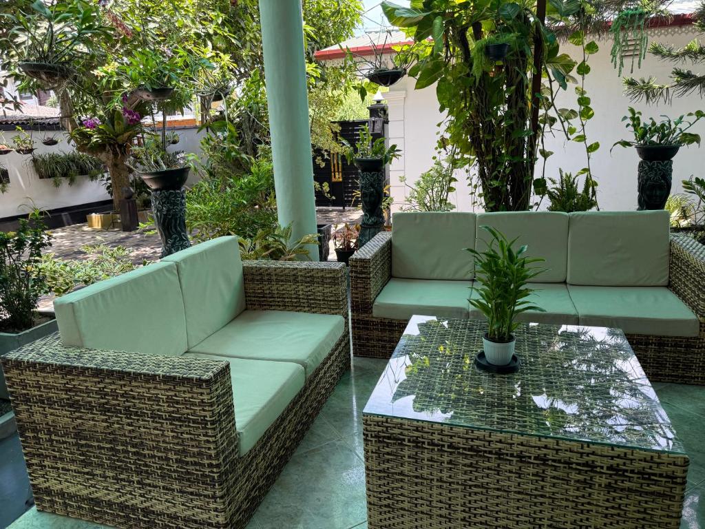 Zahrada ubytování Avon Villa