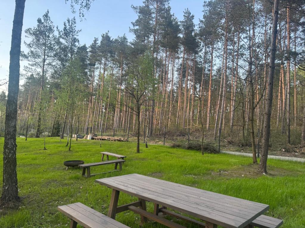 Příroda nedaleko penzionu