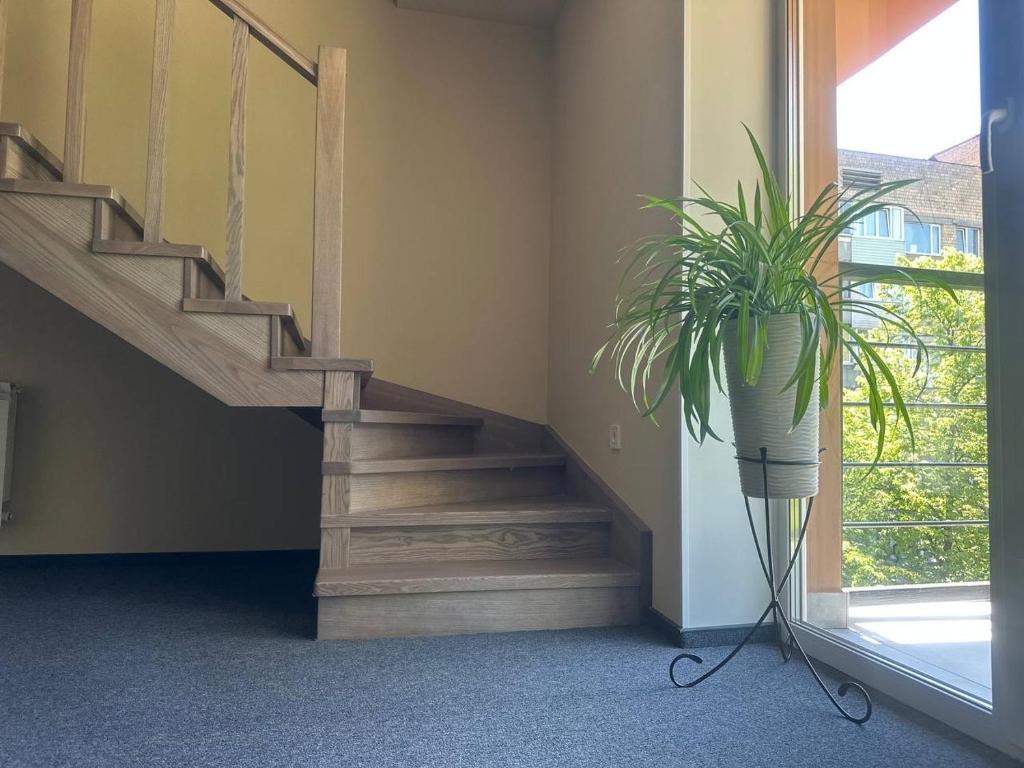 Fotografie z fotogalerie ubytování Hotel Express Корпус 2 v Kyjevě