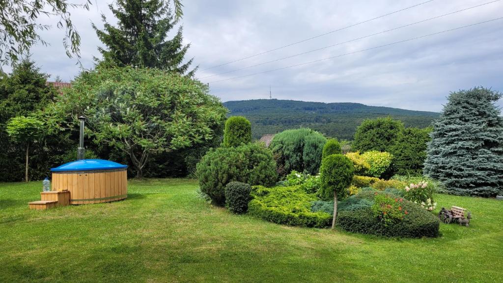 Naturlandskabet i nærheden af feriehuset