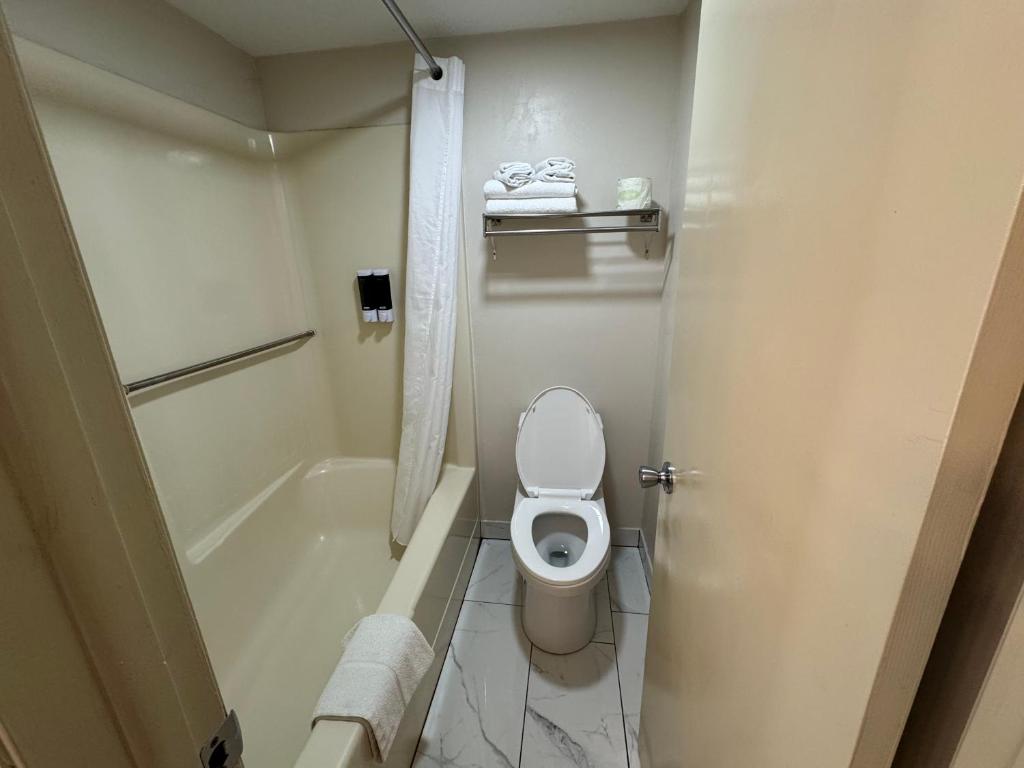 a bathroom with a toilet and a bath tub at South Shore Inn in Sandusky