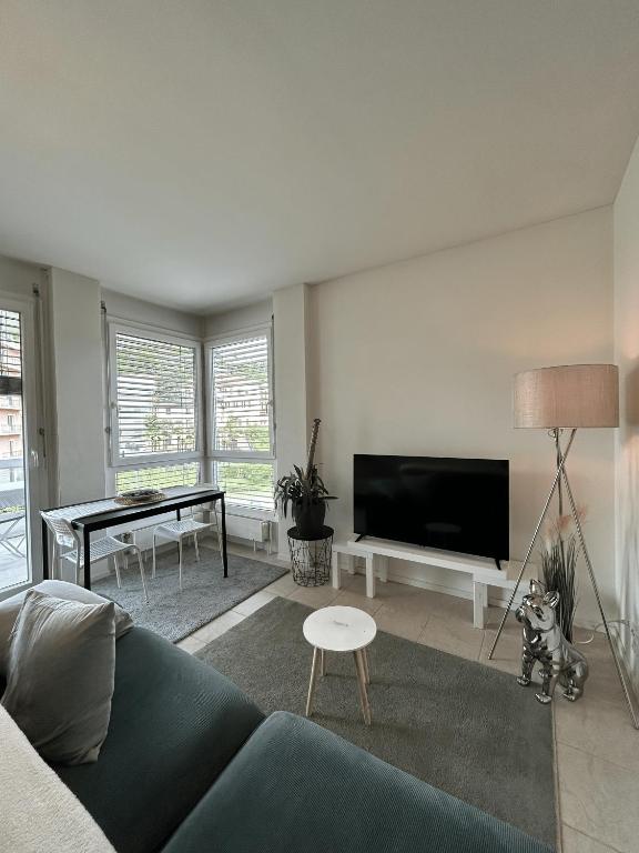 a living room with a couch and a flat screen tv at Free Parking - Near the Lake - Lugano apartment in Paradiso