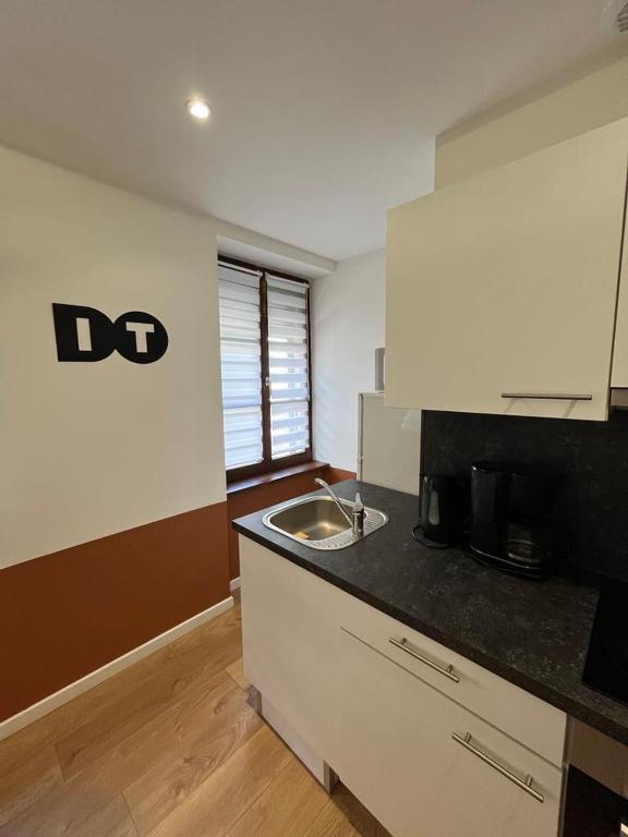 une cuisine avec un évier et un plan de travail dans l'établissement Superbe appartement atypique au cœur de Mulhouse, à Mulhouse