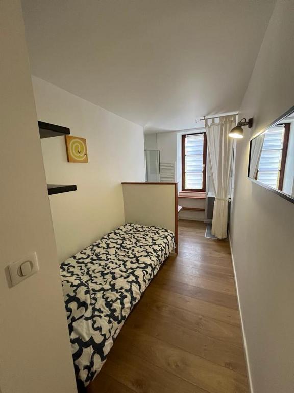 Superbe appartement atypique au cœur de Mulhouse – photo 7
