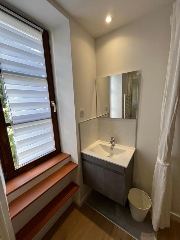 Superbe appartement atypique au cœur de Mulhouse – photo 8