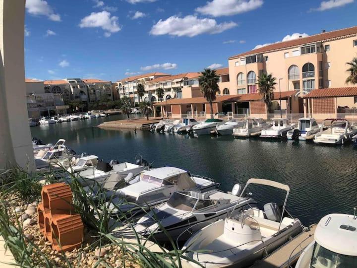 Un tas de bateaux sont amarrés dans un port de plaisance dans l'établissement Appt 4 pers dans Marina à 300m de la plage, à Sète