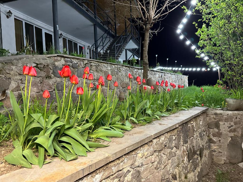 Zahrada ubytování Hotel-GVALA