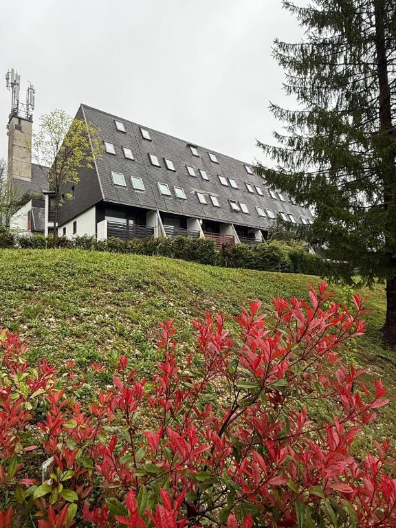 a large building on top of a hill with red flowers at Cosy Nest in Bovec