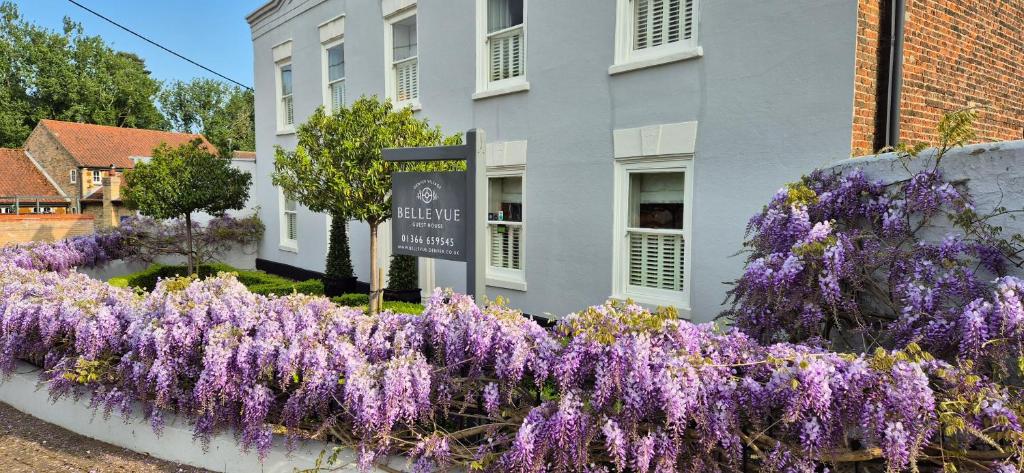 Zahrada ubytování Belle Vue Guest House
