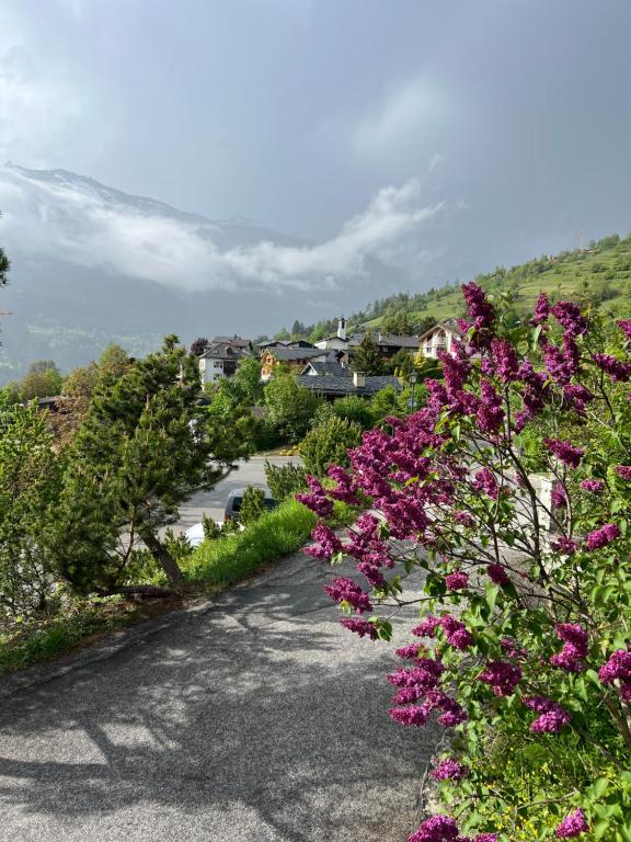 Loodusmaastik of the bed and breakfast lähedal