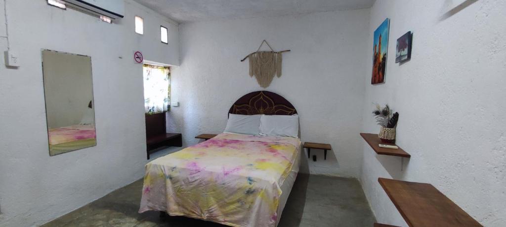 Φωτογραφία από το άλμπουμ του Hostal Xiinbal Valladolid σε Valladolid