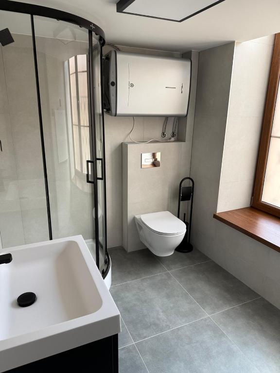 ICE KING Apartament - One-Bedroom Apartment