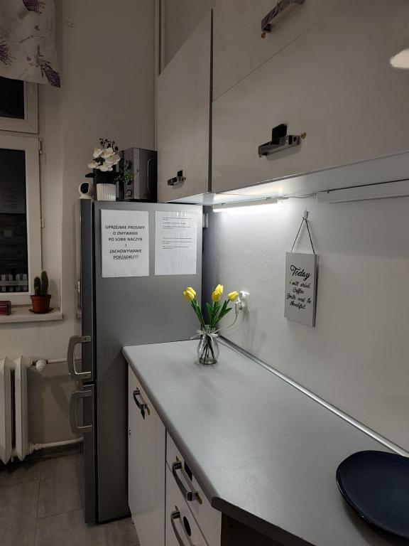 Kuchyň nebo kuchyňský kout v ubytování Magnolia Rooms Plus