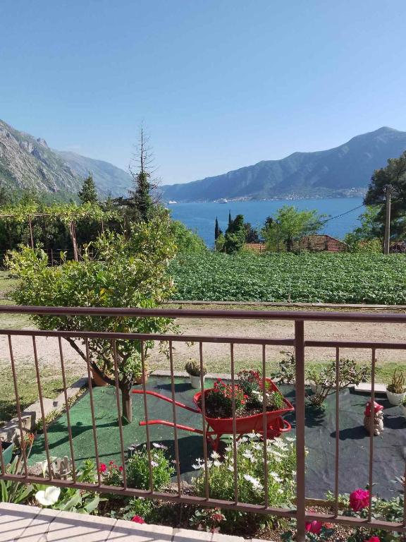 B & M Apartments - 11