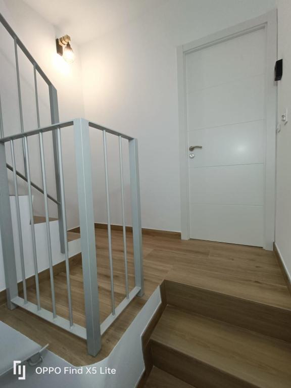 As Mimosas d'Cross - 13