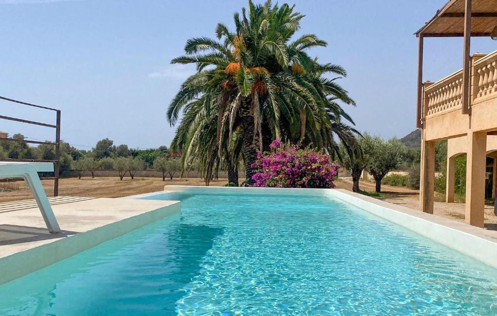 Una piscina azul con una palmera al fondo. en Son Floriana, en Son Servera