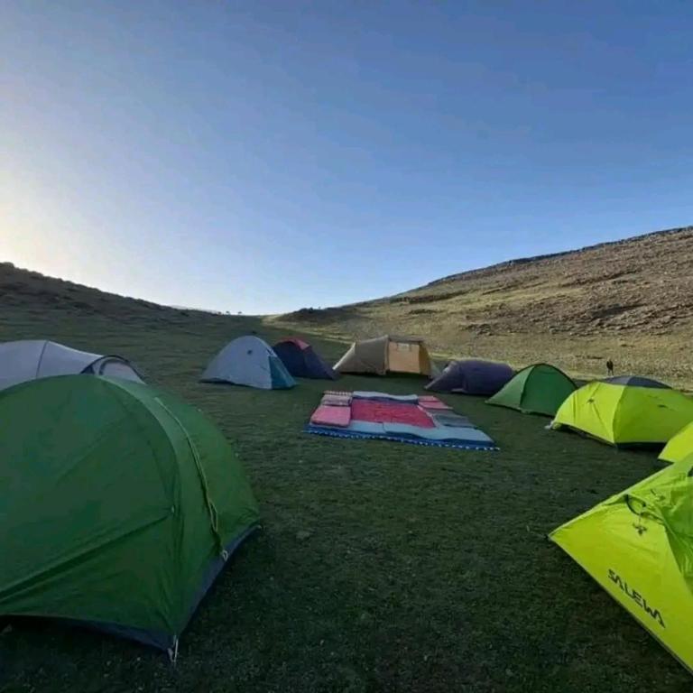 المناظر الطبيعية بالقرب من الفندق