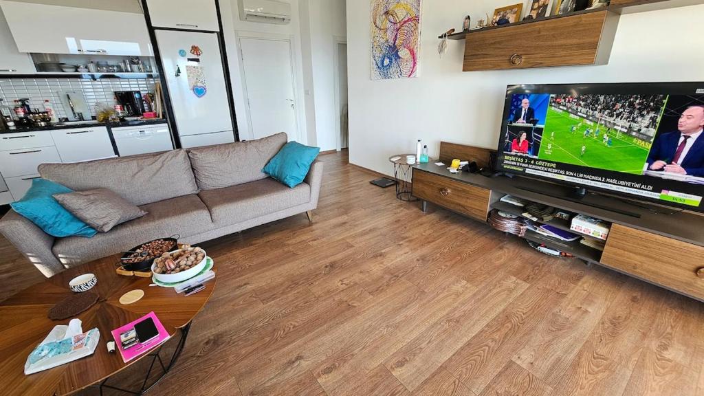 TV a/nebo společenská místnost v ubytování Amazing villa AKAN