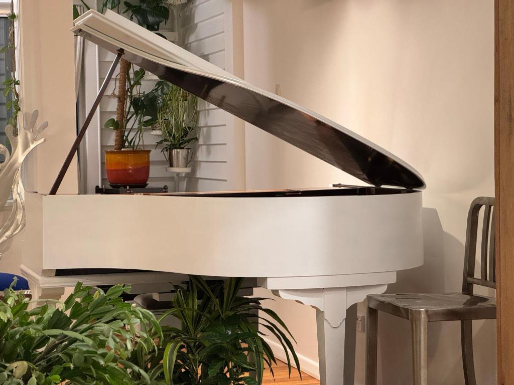 White Oasis - Resim 34