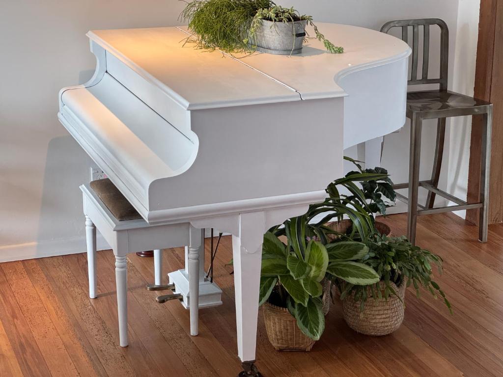 White Oasis - Resim 38