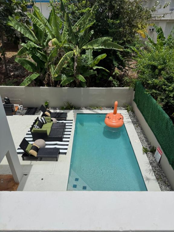 アグアディヤにあるThe Hibiscus House - King Suite, Terrace, and Poolの裏庭の小さなスイミングプール