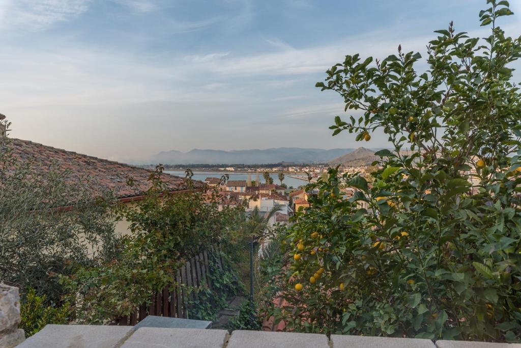 Amfitriti Palazzo - 10