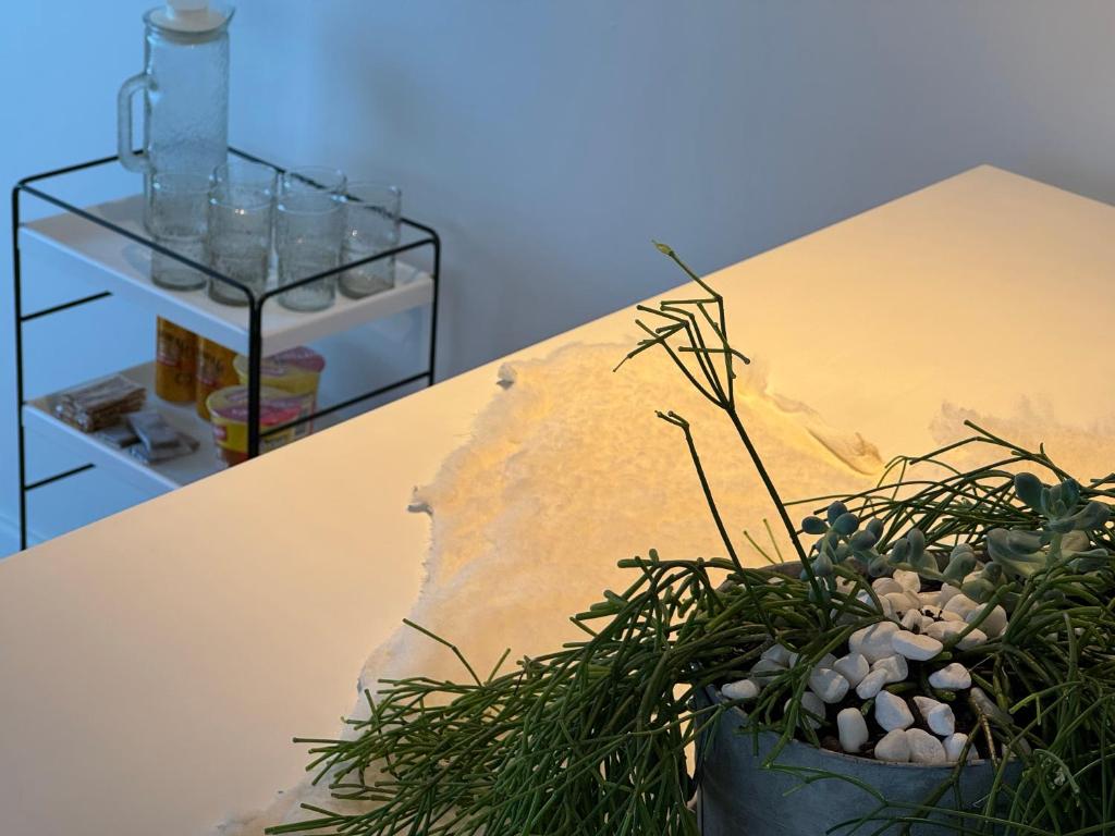 White Oasis - Resim 44