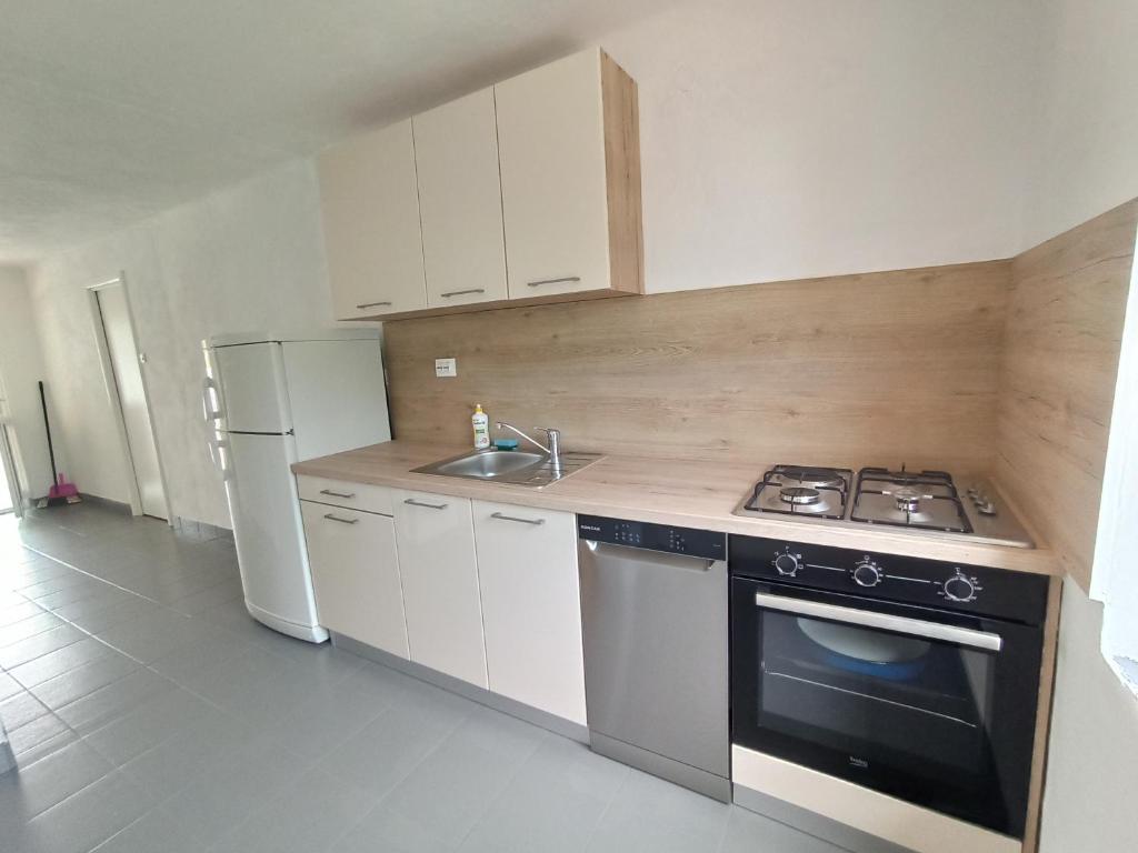 kuchnia z kuchenką, zlewem i lodówką w obiekcie Apartments Sonija w mieście Gdinj