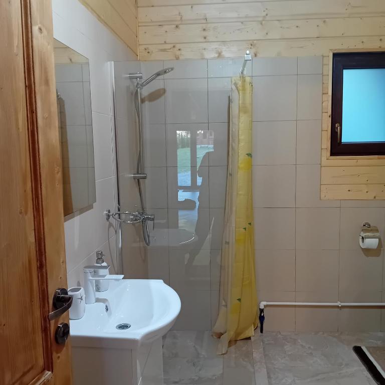 Koupelna v ubytování Căbănuțe Izbândiș