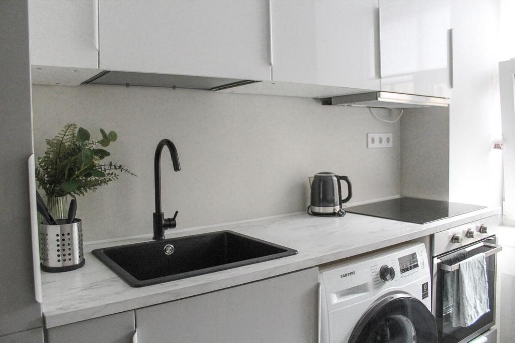 una cocina con fregadero y lavadora en Modern 1BR Flat - Great Location, en Riga