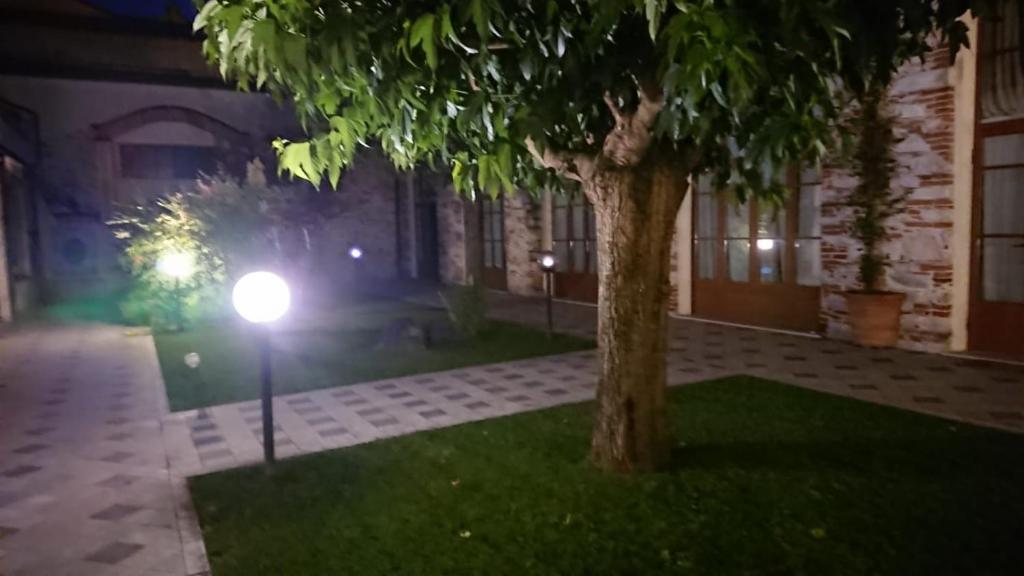 Vonkajšia záhrada v ubytovaní Loft la Corte