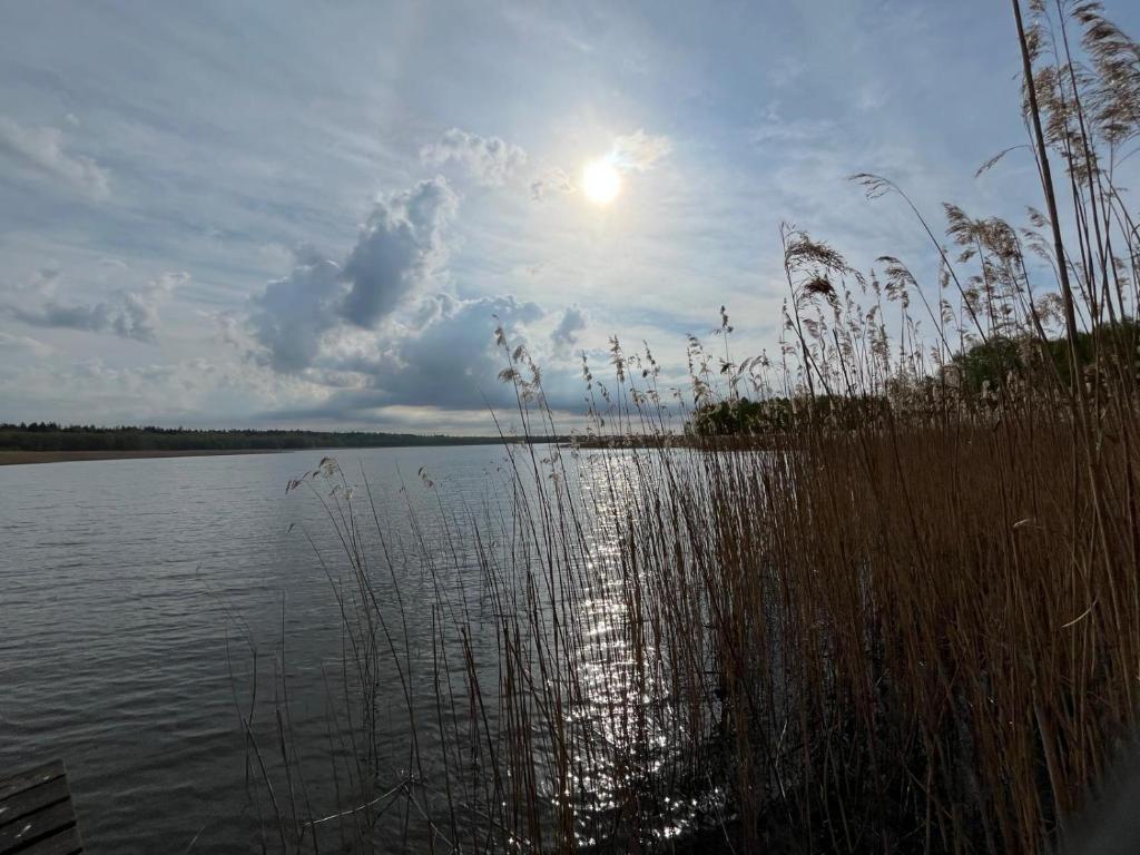 Príroda v okolí dovolenkového domu