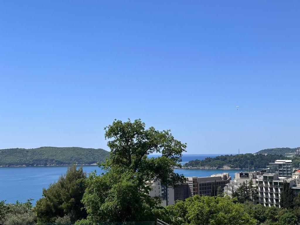 ラファイロヴィチにあるApartments EVGの川と市街の景色