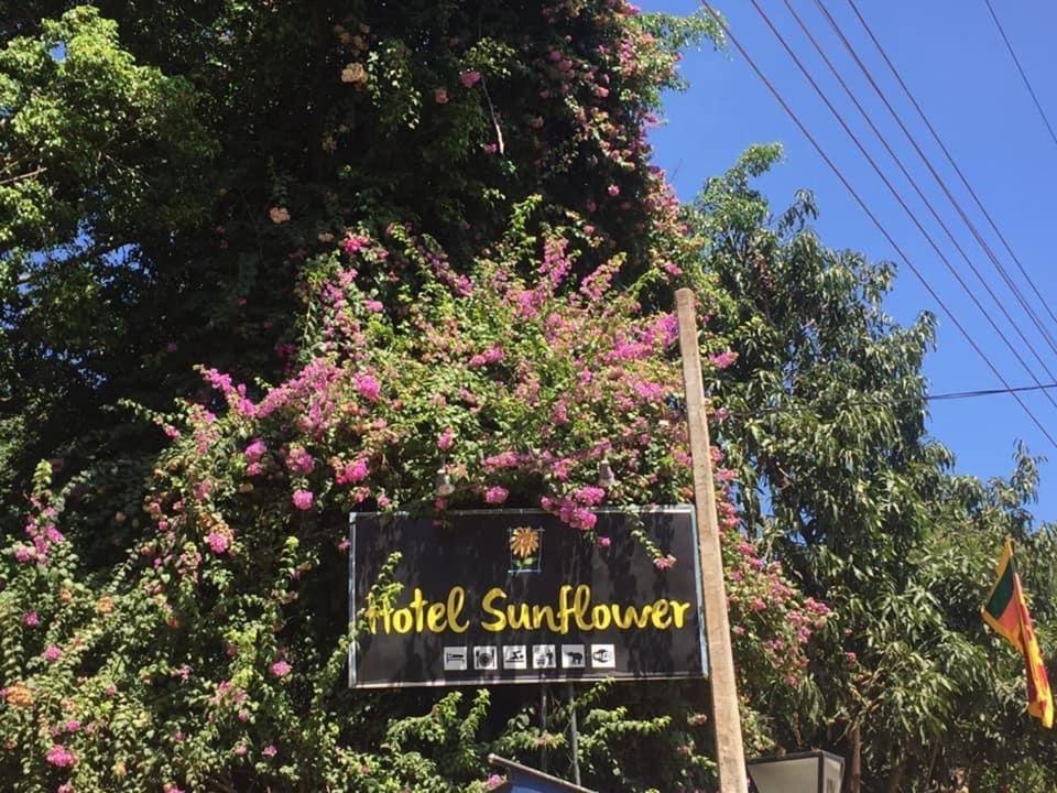 Fotografie z fotogalerie ubytování Hotel Sunflower v destinaci Kataragama
