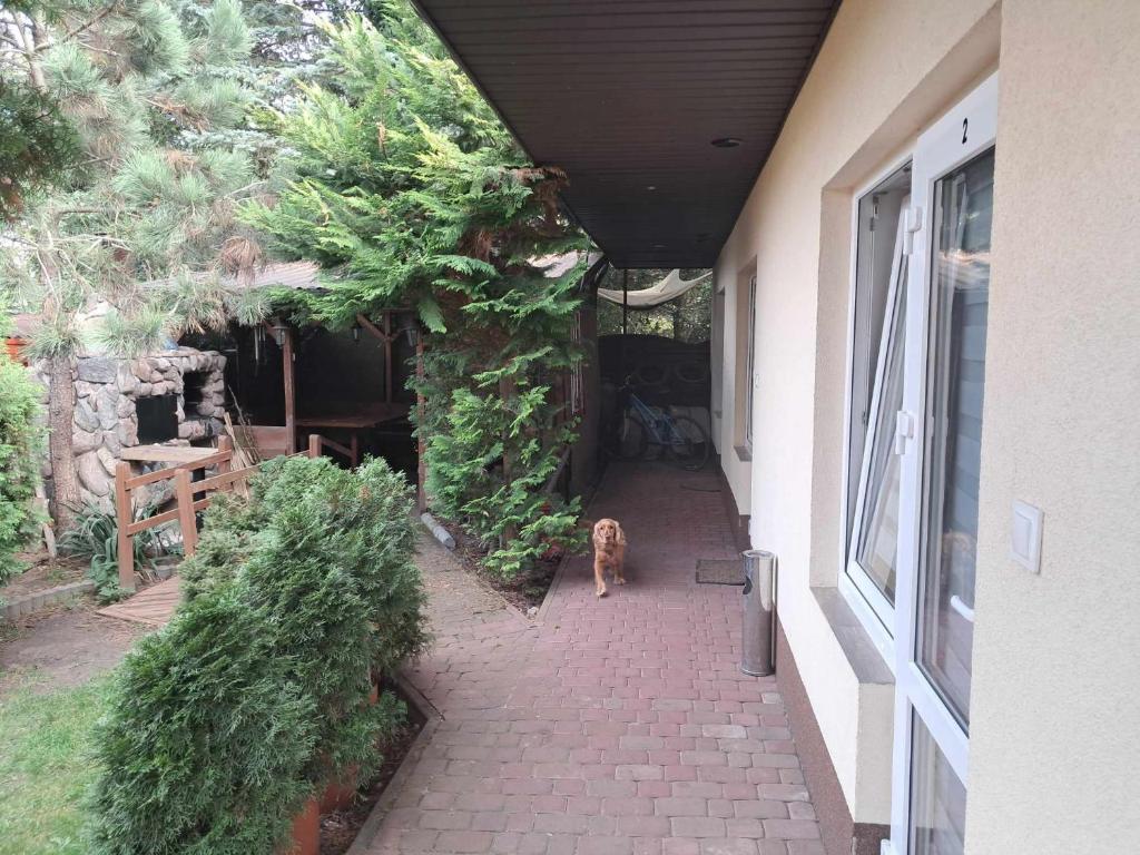 Noclegi Julia pokoje 1-3 parter Chodkiewicza 161 Kielce - 9