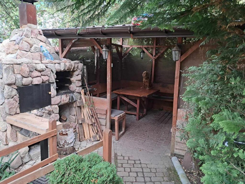 Noclegi Julia pokoje 1-3 parter Chodkiewicza 161 Kielce - 10