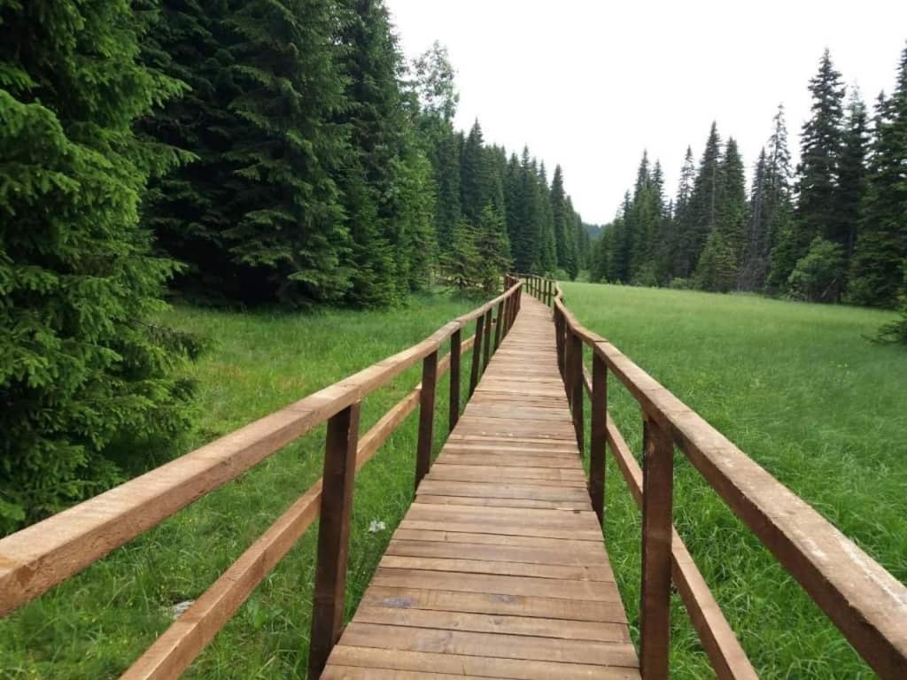 Příroda nedaleko apartmánu