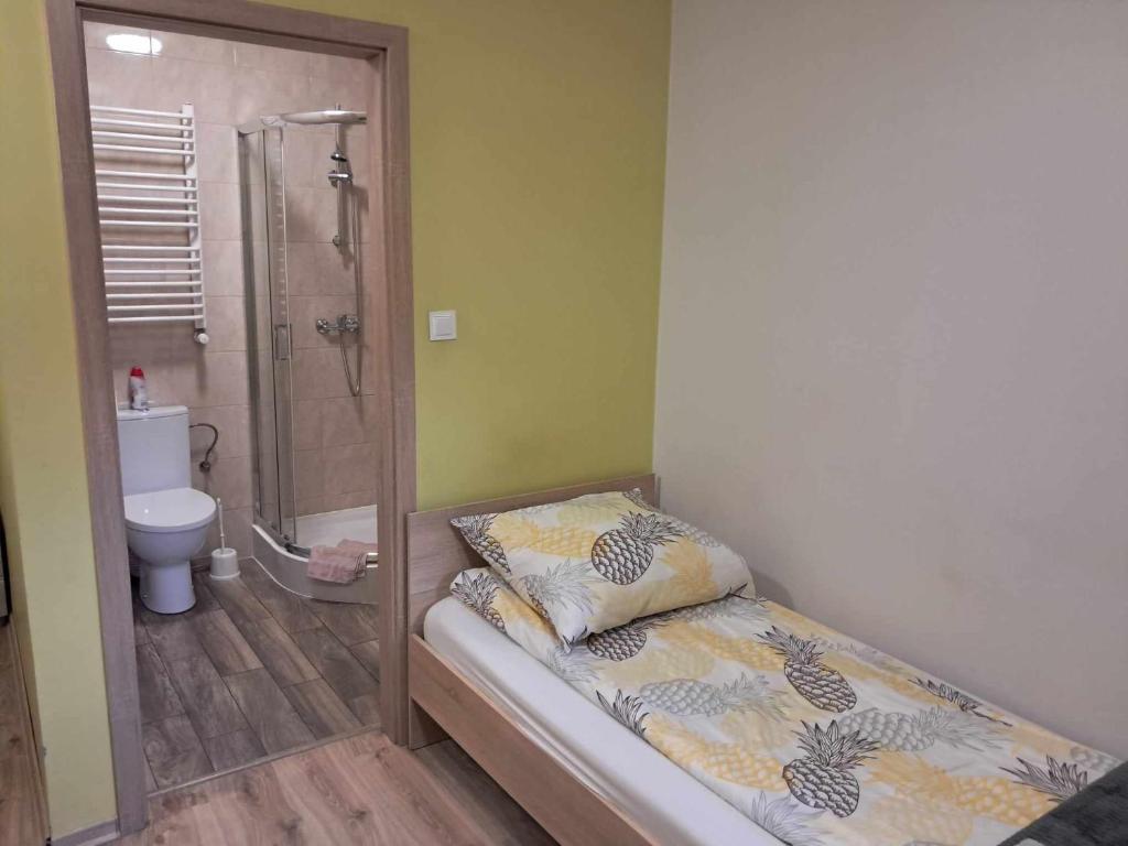 Noclegi Julia pokoje 1-3 parter Chodkiewicza 161 Kielce - 11