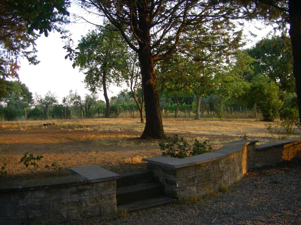 Zahrada ubytování Tuscia Viterbese Casale Nel Verde