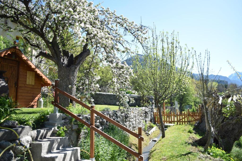 Príroda v okolí apartmánu
