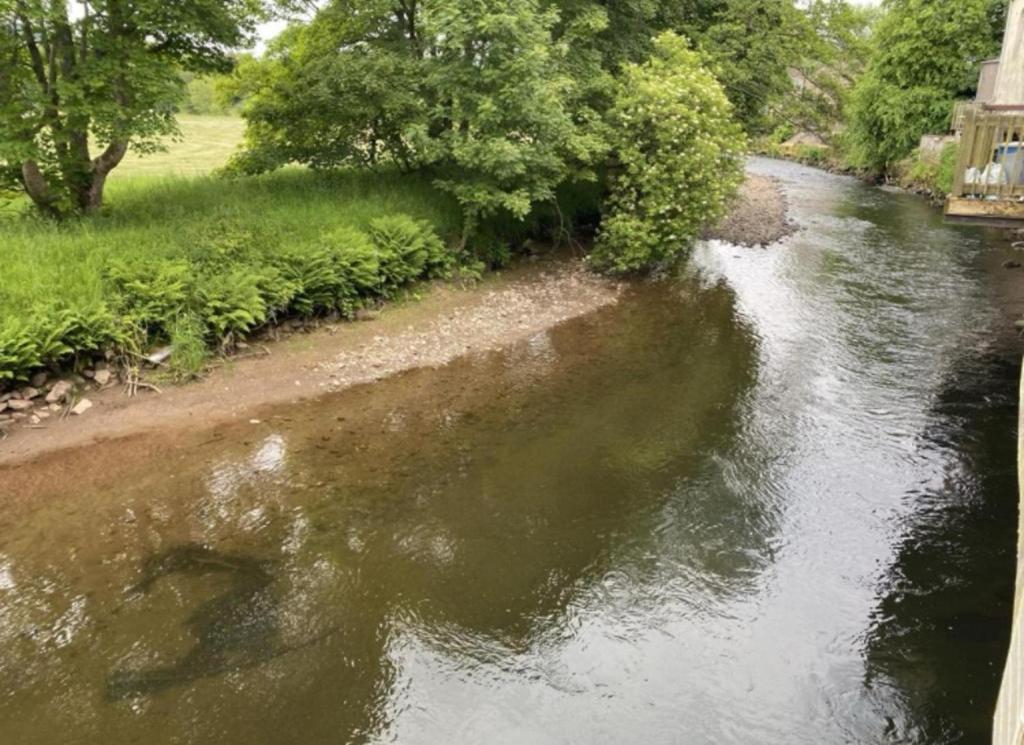 einen Blick auf einen Fluss von einer Brücke aus in der Unterkunft Riverbank Cottage River Ehan Double Balcony in Egremont
