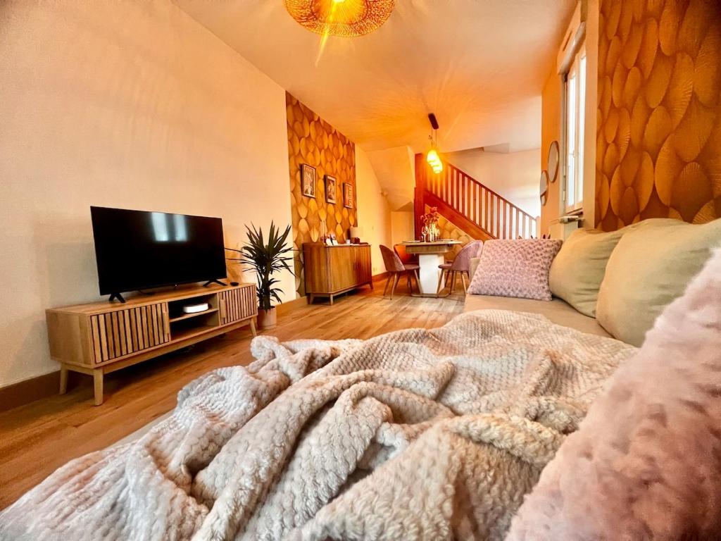 ヴィシーにあるMaison de villeのソファとテレビのあるリビングルーム