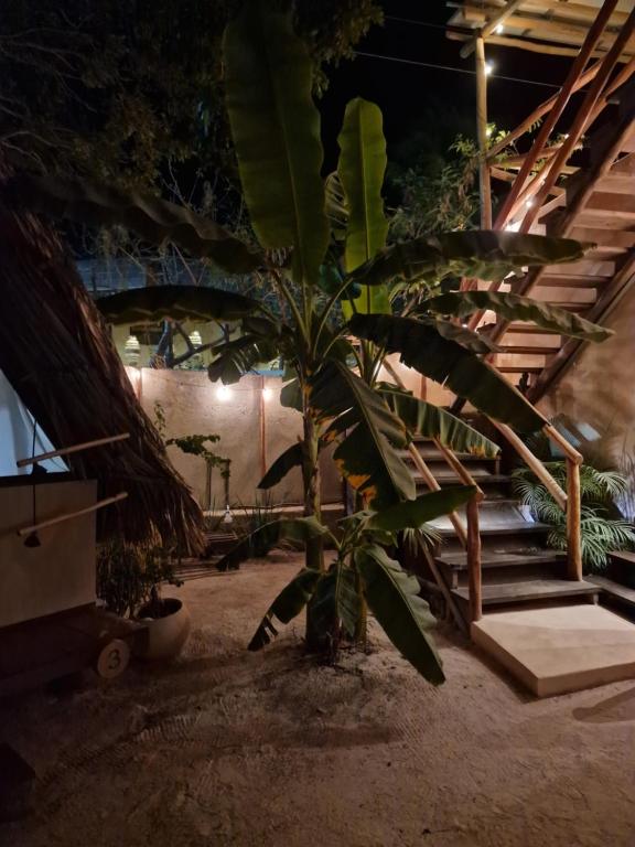 Zahrada ubytování Luna y Sol Glamping Holbox