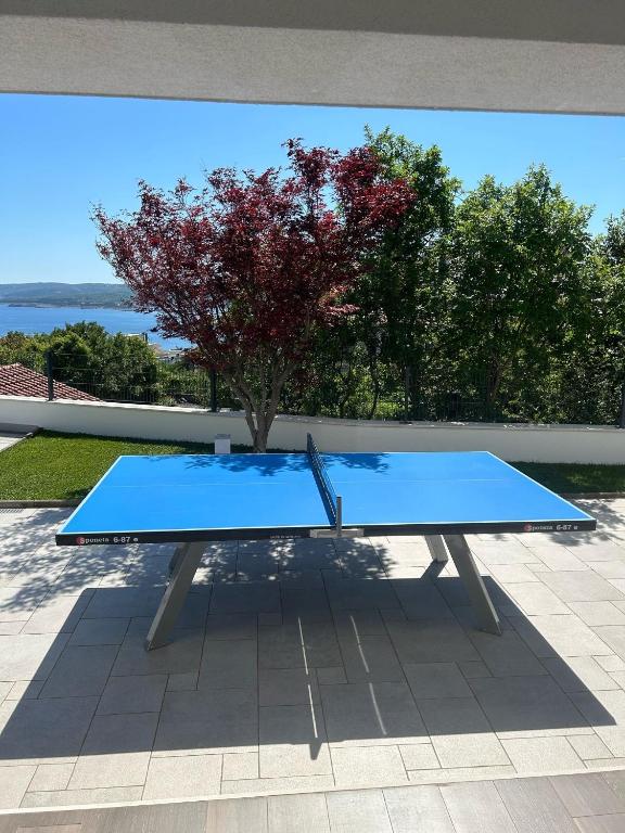 Stolní tenis v ubytování Villa Rina - luxury holiday home nebo okolí
