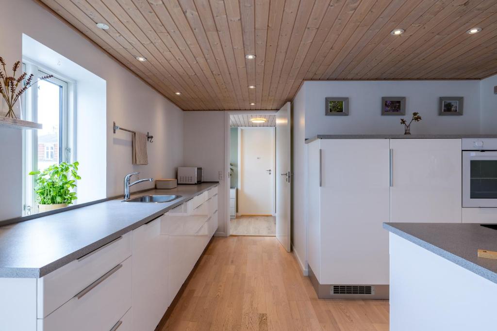 Kuchyň nebo kuchyňský kout v ubytování Cozy Apartment Stevns